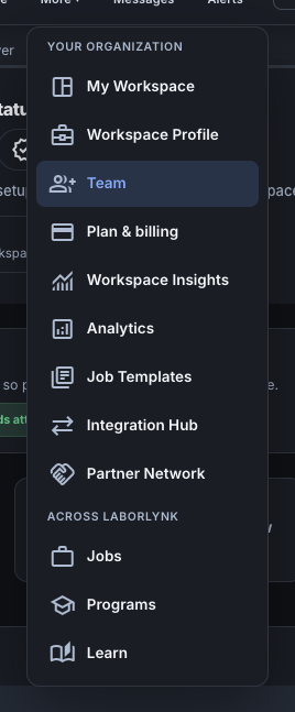The More menu with Team under Your organization.