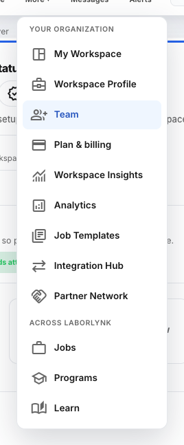 The More menu with Team under Your organization.