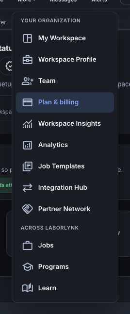 The More menu with Plan & billing under Your organization.